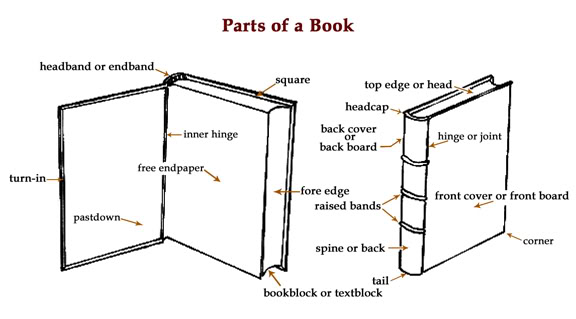 diagram of the parts of a physical book