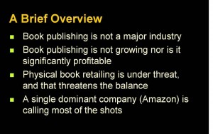 Overview of the book publishing startup investment problem